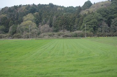 Nikko Kinugawa trenle manzara 