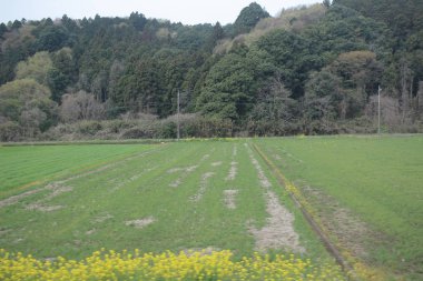 Nikko Kinugawa trenle manzara 