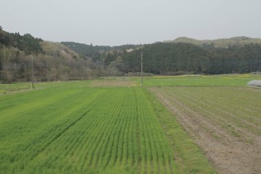 Nikko Kinugawa trenle manzara 