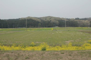 Nikko Kinugawa trenle manzara 