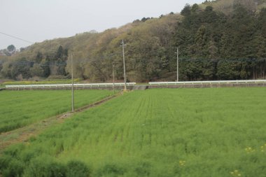 Nikko Kinugawa trenle manzara 