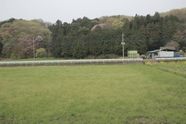 Nikko Kinugawa trenle manzara 