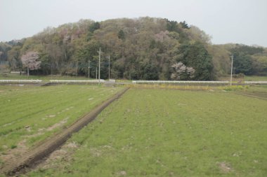 Nikko Kinugawa trenle manzara 