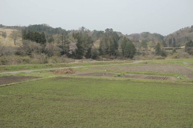 kırsal trenle görünümünü 