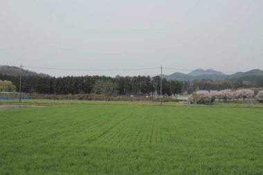 kırsal trenle görünümünü 