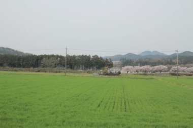 kırsal trenle görünümünü 