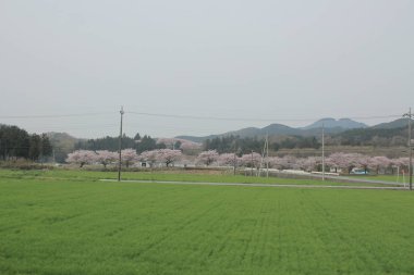 kırsal trenle görünümünü 