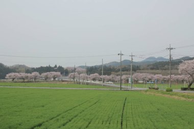 kırsal trenle görünümünü 