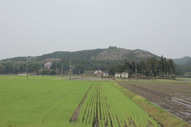 kırsal trenle görünümünü 