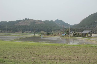 kırsal trenle görünümünü 