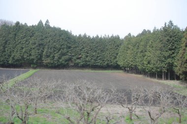 kırsal trenle görünümünü 