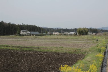 kırsal trenle görünümünü 