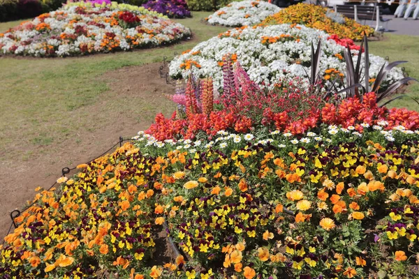 Blumenbeet im Yamashita Park — Stockfoto