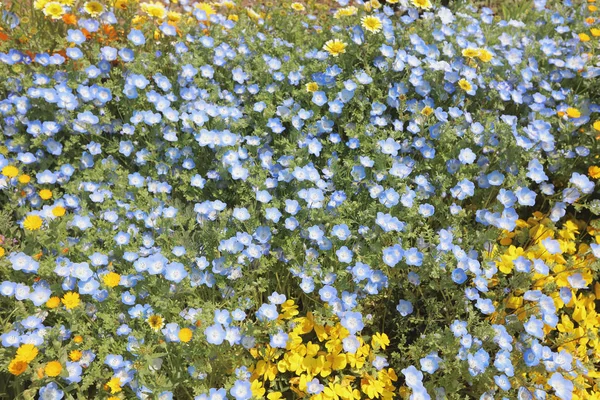 tarihsel tuğla warehous Bahçe