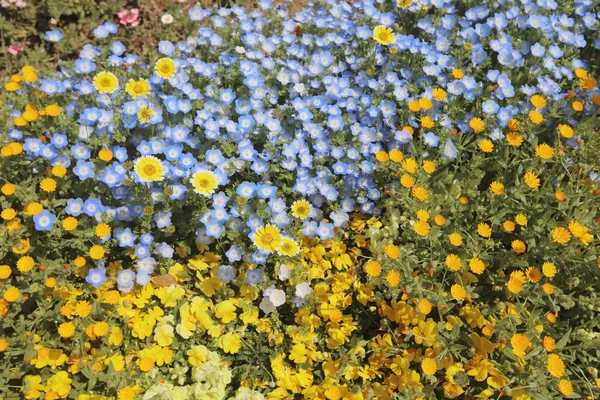 tarihsel tuğla warehous Bahçe