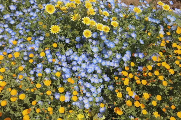 tarihsel tuğla warehous Bahçe