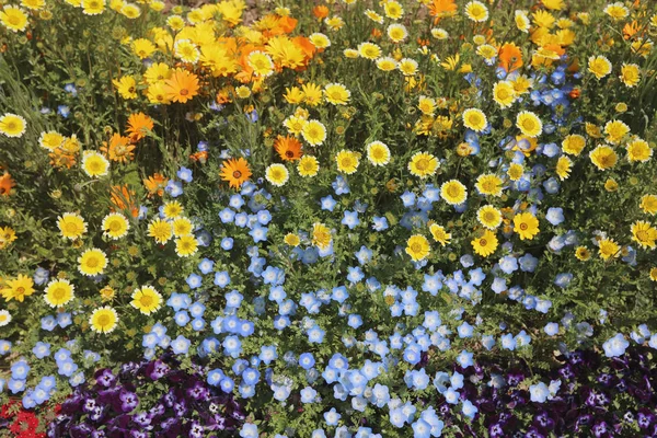 tarihsel tuğla warehous Bahçe