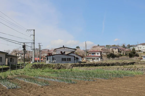 Shimo Yoshida ilçeleri Yamanashi 