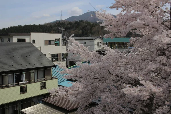 Yamanashi City scape