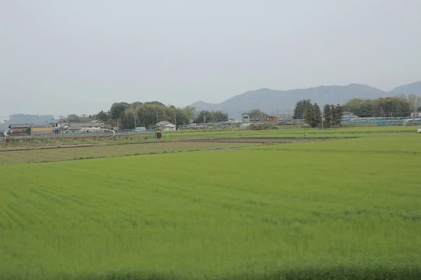 Vista do campo por comboio — Fotografia de Stock