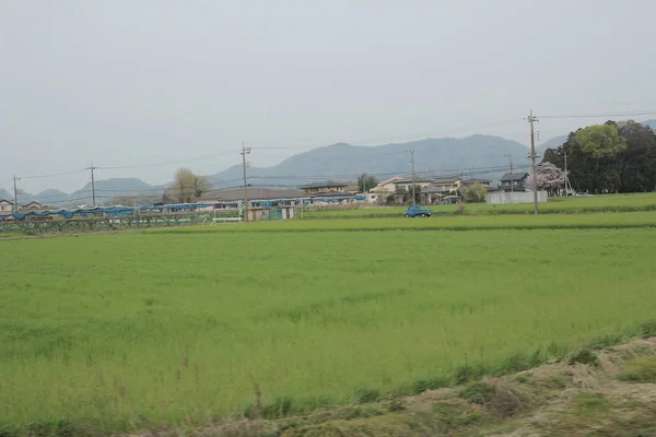 Utsikt över landskapet med tåg — Stockfoto