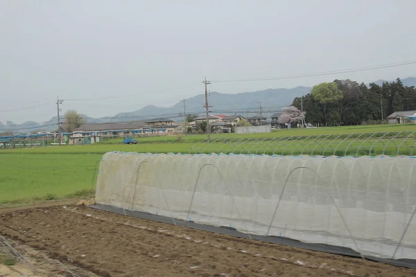 電車で田舎のビュー — ストック写真