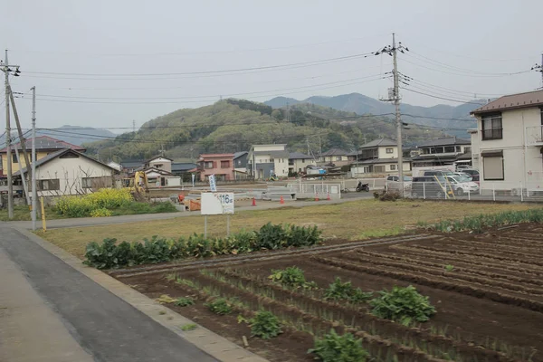 kırsal trenle görünümünü 