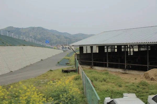 電車で田舎の景色 — ストック写真