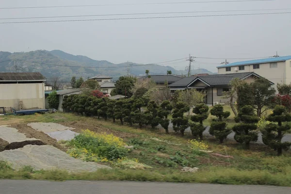 trenle kırsal bir görünümünü 