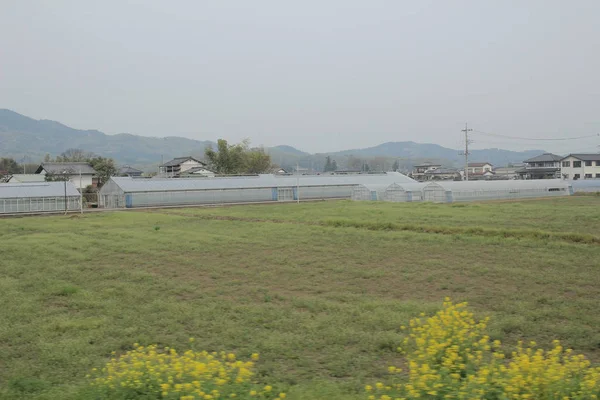 kırsal trenle görünümünü 