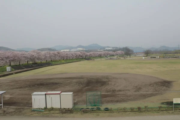 電車で田舎のビュー — ストック写真