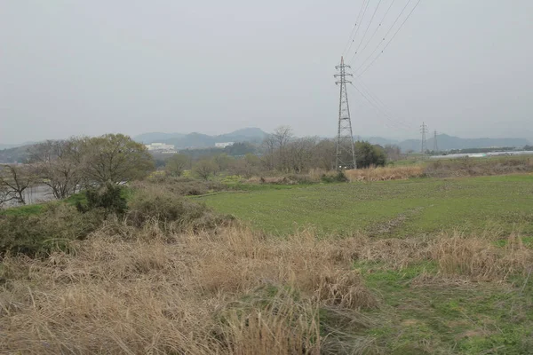 乘火车欣赏乡村的景色 — 图库照片