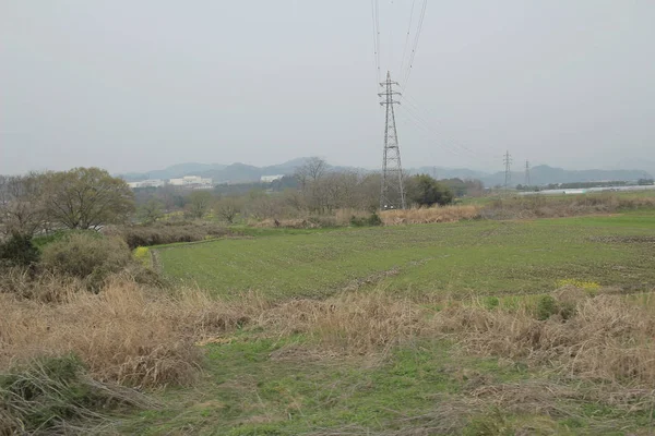 trenle kırsal bir görünümünü 