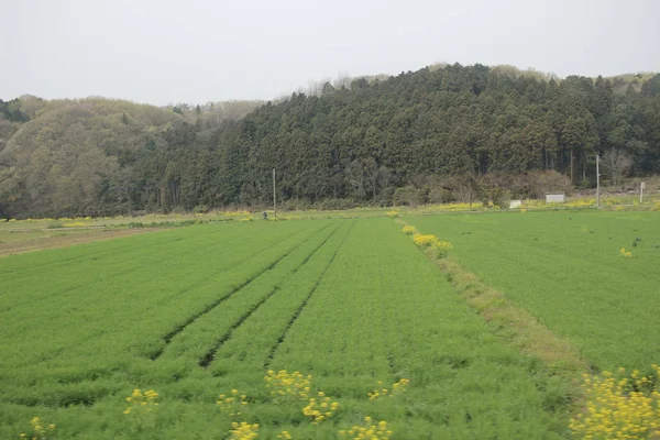 Krajina vlakem Nikko Kinugawa — Stock fotografie