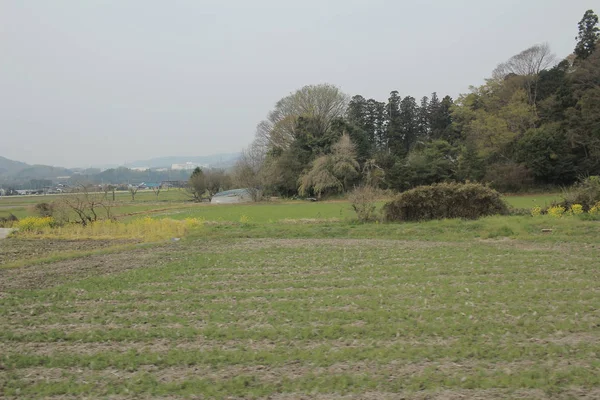 Nikko Kinugawa trenle manzara 