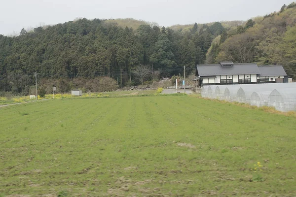 PAESAGGIO in treno Nikko Kinugawa — Foto Stock