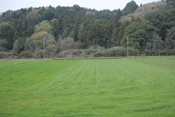 Nikko Kinugawa trenle manzara 