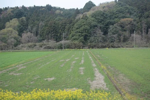 Nikko Kinugawa trenle manzara 