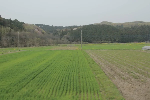 Nikko Kinugawa trenle manzara 