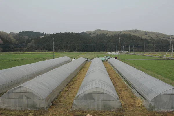 Nikko Kinugawa trenle manzara 