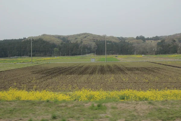 Nikko Kinugawa trenle manzara 