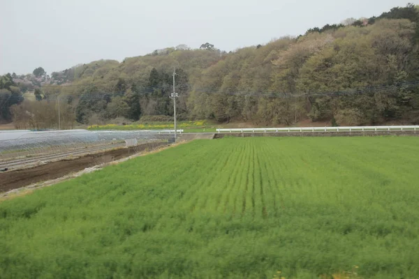 Nikko Kinugawa trenle manzara 