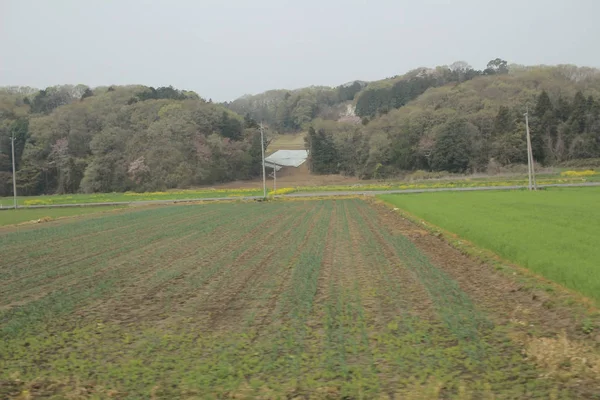 乘坐日航鬼怒川火车的风景 — 图库照片