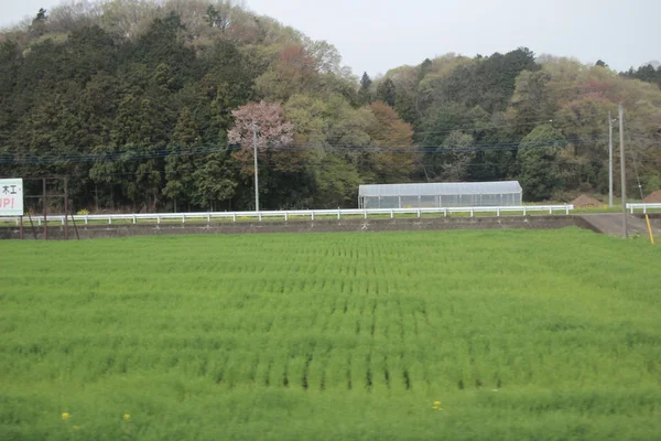 Nikko Kinugawa trenle manzara 