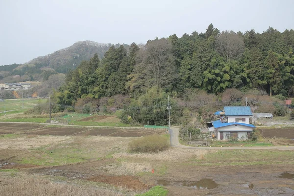 kırsal trenle görünümünü 