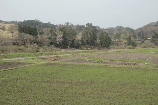 kırsal trenle görünümünü 