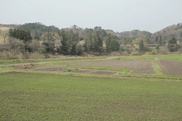 kırsal trenle görünümünü 