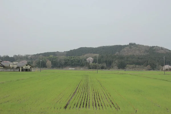 Vista do campo por comboio — Fotografia de Stock