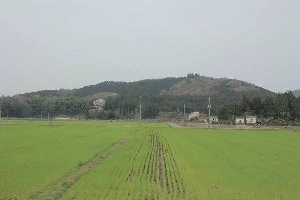 Вид на сільську місцевість поїздом — стокове фото