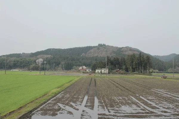 kırsal trenle görünümünü 